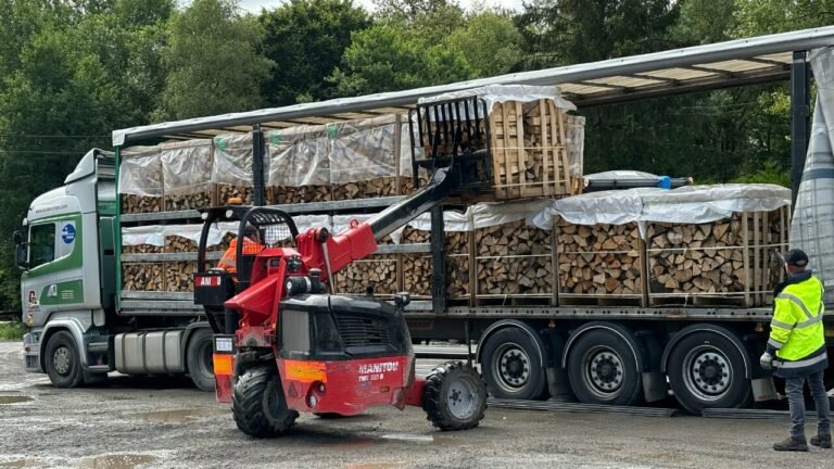 LKW mit palettiertem Brennholz und Hubwagen bei der Zustellung