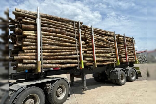 imgi_4_Bioenergiezentrum_Burgau_Buche_3m_unter_20cm-e9e367fe-1920w Stammholz Mix Buche & Eiche – 50,2 RM Komplett-LKW