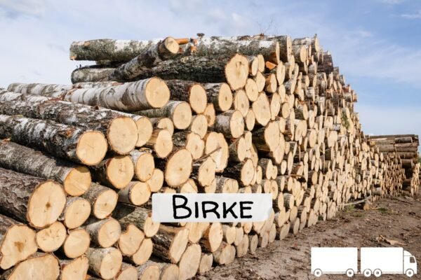 imgi_4_Stammholz+Label+Birke+ganzer+LKW Stammholz Birke – 20 RM (Halb-LKW) / 40 RM (Komplett-LKW)