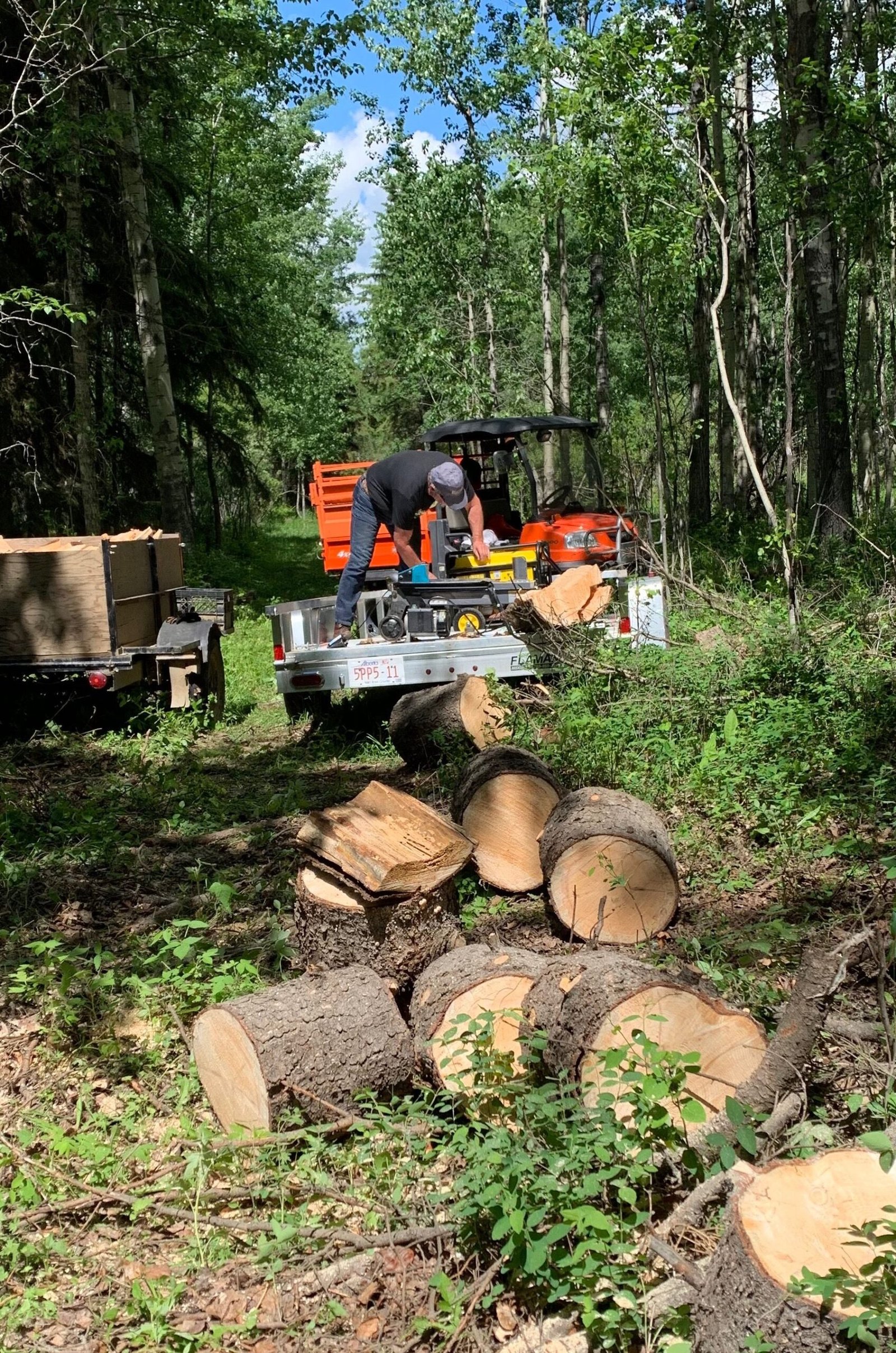 UMIA GmbH – Holzernte und Aufbereitung im Wald